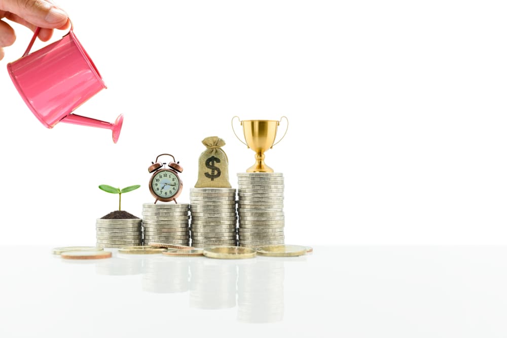 La-importancia-del-dinero-